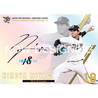 【A賞】直筆サインカード オリックス・バファローズ 『宮城 大弥』